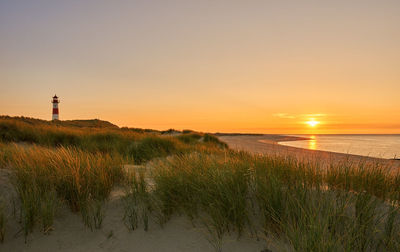 Scenic view of beach against sky during sunset
