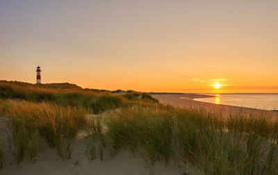 Scenic view of beach against sky during sunset