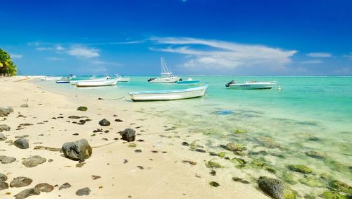 Scenic view of beach against sky