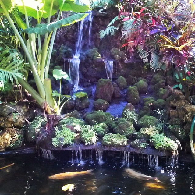 water, motion, flowing water, fountain, plant, waterfall, long exposure, flowing, rock - object, splashing, leaf, nature, beauty in nature, growth, waterfront, falling, outdoors, day, no people, pond