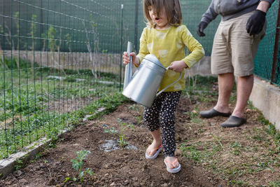 Baby holding watering can to help father to water planted seedlings in the garden