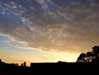 Low angle view of silhouette trees against sky