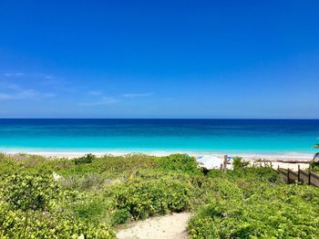 Scenic view of sea against clear blue sky