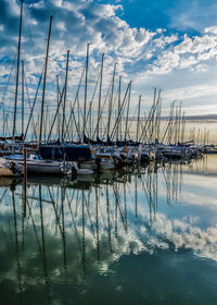 Sailboats in marina