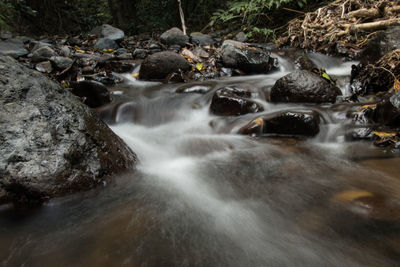 Scenic view of waterfall in forest