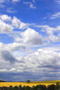 sky