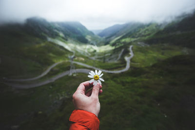 Cropped image of hand holding flower against mountains