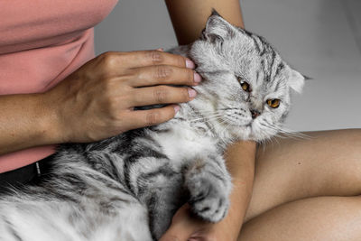 Midsection of person hand with cat