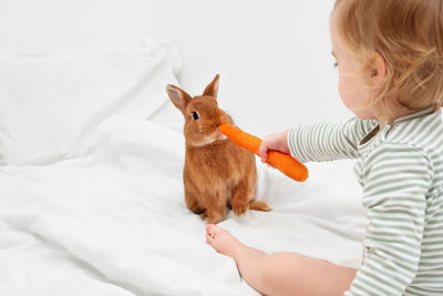 Cute baby girl feeding rabbit with carrot at home 