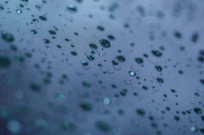 Rain droplets on car windshield. 