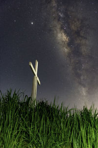 Low angle view of star field against sky at night