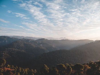 High angle view of trees on landscape against sky