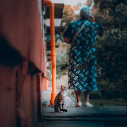 Rear view of women walking on street