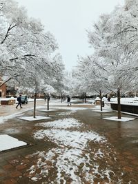 Snow covered park against sky