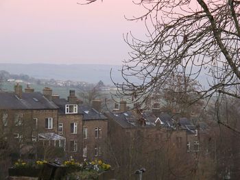 Houses and trees against clear sky