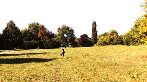 People walking on grassy field