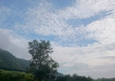 Scenic view of landscape against cloudy sky