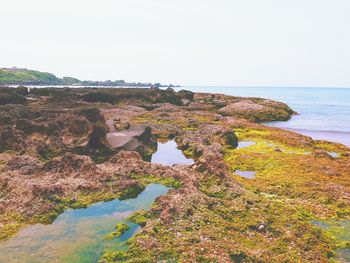 Scenic view of sea against clear sky