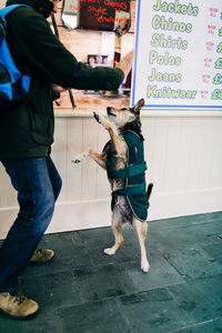 Full length of man holding dog standing on street