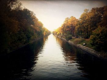 Reflection of trees in river