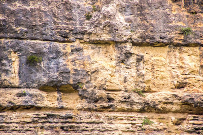 Full frame shot of rock formation