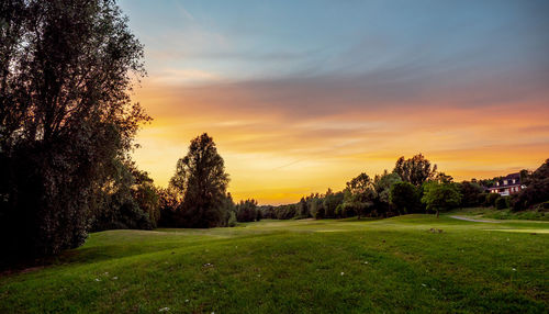 Trees on field against sky during sunset