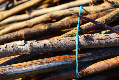 Full frame shot of firewood