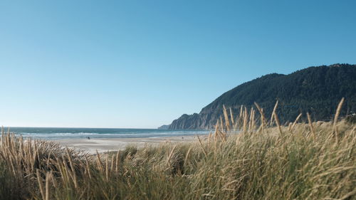 Scenic view of sea against clear blue sky