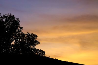 Low angle view of silhouette tree against sky at sunset