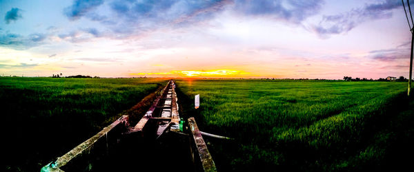 Scenic view of agricultural field against sky during sunset