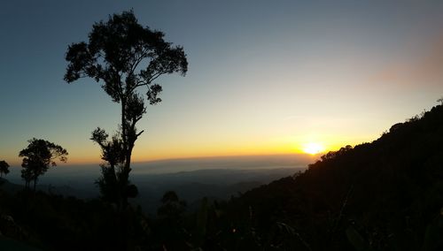 Silhouette tree against sky during sunset