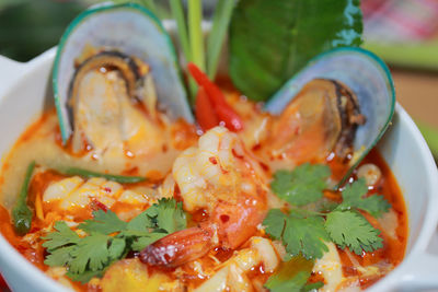 Close-up of meal served in bowl