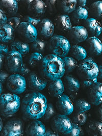 Full frame shot of blueberries