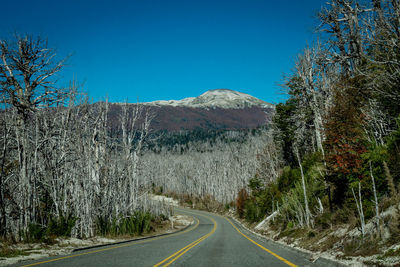 Empty road by trees against clear blue sky