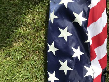 High angle view of flag on leaf