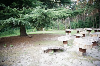 Trees in park