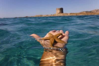 Cropped hand holding starfish in sea