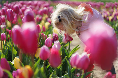 Little girl smelling the pink tulips flowers.