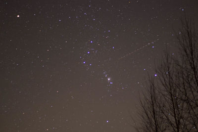 Low angle view of star field against sky at night