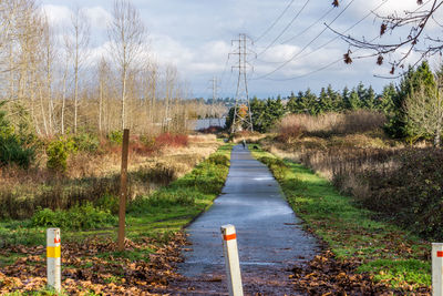 Road amidst trees on field against sky