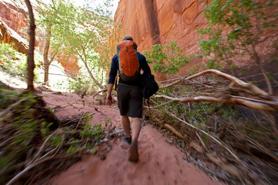 Young man hiking through a dry canyon in utah