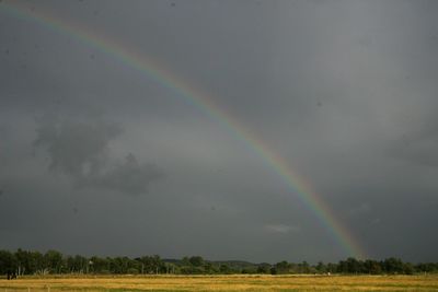 Scenic view of rainbow over field