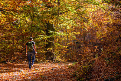 Woman walking on road amidst trees in forest during autumn