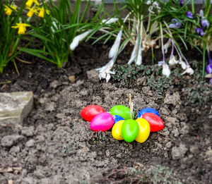 View of multi colored toys