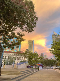 Road by trees and buildings against sky during sunset