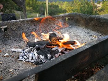 Bonfire on ground