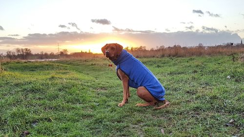 Man on field against sky during sunset