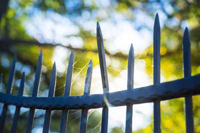 Close-up of fence against plants