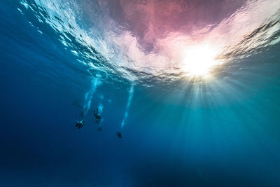 Sunlight falling on silhouette people scuba diving undersea