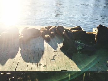 Low section of person on lake